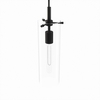 Skylark Pendant Light in Clear Black