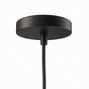 Skylark Pendant Light in Clear Black