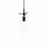 Skylark Pendant Light in Clear Black