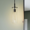 Skylark Pendant Light in Clear Black