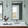 Skylark Pendant Light in Clear Black