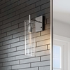 Skylark Wall Sconce in Clear Polished Nickel