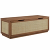 Soma 47" Rattan Storage Bench