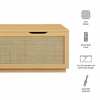 Soma 47" Rattan Storage Bench
