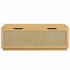 Soma 47" Rattan Storage Bench