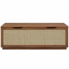 Soma 47" Rattan Storage Bench