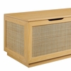 Soma 47" Rattan Storage Bench