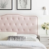 Sophia Tufted Performance Velvet Full/Queen Headboard in Pink