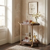 Stela Bar Cart in Walnut