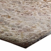 Success Kaede Distressed Vintage Floral Moroccan Trellis 8x10 Area Rug in Multicolored