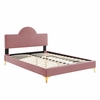 Sunny Performance Velvet King Bed in Dusty Rose