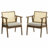 Thera Vegan Leather and Cane Accent Armchairs Set of 2