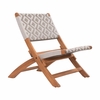 Tide Lounge Chair in Multicolor