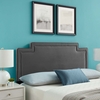 Transfix Performance Velvet Full/Queen Headboard in Charcoal