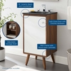 Transmit 18" Bathroom Vanity in Walnut Black