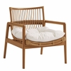 Tula Wood Rattan Lounge Chair in Brown