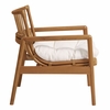 Tula Wood Rattan Lounge Chair in Brown