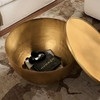Viora 32 Inch Metal Storage Coffee Table in Burnished Brass