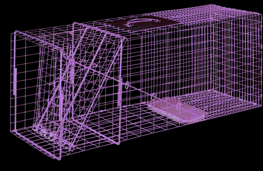 Duke Large Raccoon Trap - Model 1110