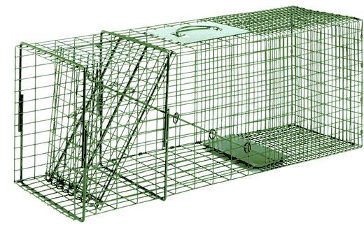 Duke Large Raccoon Trap - Model 1110