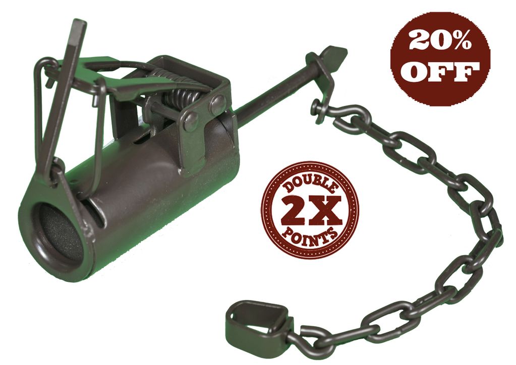 Raccoon Traps Home Depot