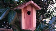 Battery Powered Outdoor Birdhouse Wi-Fi Security Camera Battery Powered Outdoor Birdhouse Wi-Fi Security Camera
