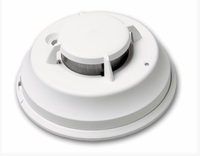 Battery Powered Smoke Commercial Grade #2 Wi-Fi Security Camera