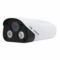 Bullet IP Cameras