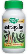 Astragalus Root 100 Caps