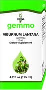Genestra Viburnum lantanum 125 ml
