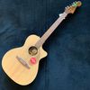 Fender Newporter Player Natural