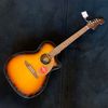 Fender Newporter Player Sunburst