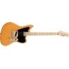 Paranormal Offset Telecaster - Butterscotch Blonde