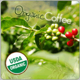 Organic Coffee