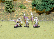 Dark Elf Pole-Arms