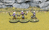 Dark Elf Reavers