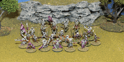 Dark Elf Warband