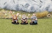 Dwarf Veterans