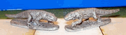 Komodo Dragons