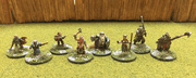 Non Human Adventurers