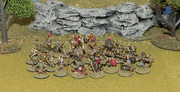 Orc Warband