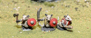 Possum Warriors