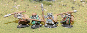 Raccoon Spears