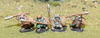 Raccoon Spears