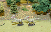 Raptors