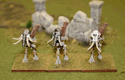 Skeleton Constructs