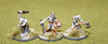 Skeleton Warriors 3