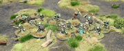 Toadmen Warband