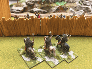 Village Defense