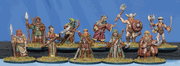Warriors of Nature